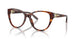 5007 - Brown