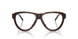2069 - Brown