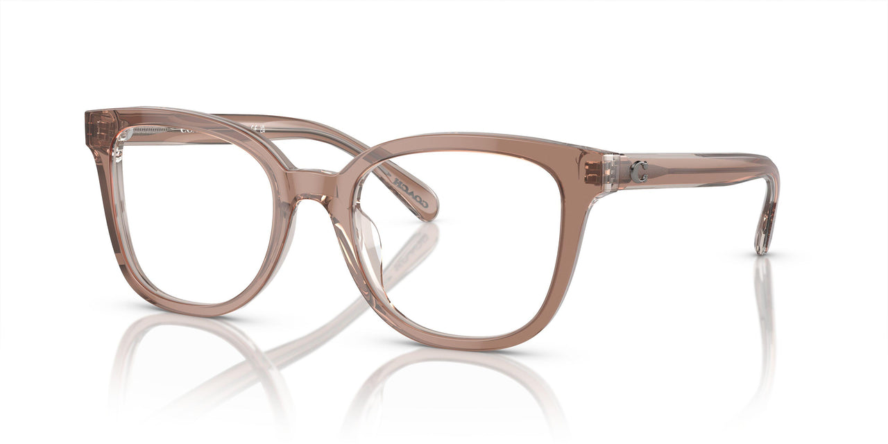 5779 - Brown