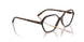 W656 - Brown