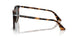 110248 - Tortoise - Polar Black