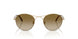 341713 - Gold - Gradient Brown