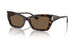 500273 - Tortoise - Dark Brown