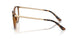 2012 - Brown - Clear