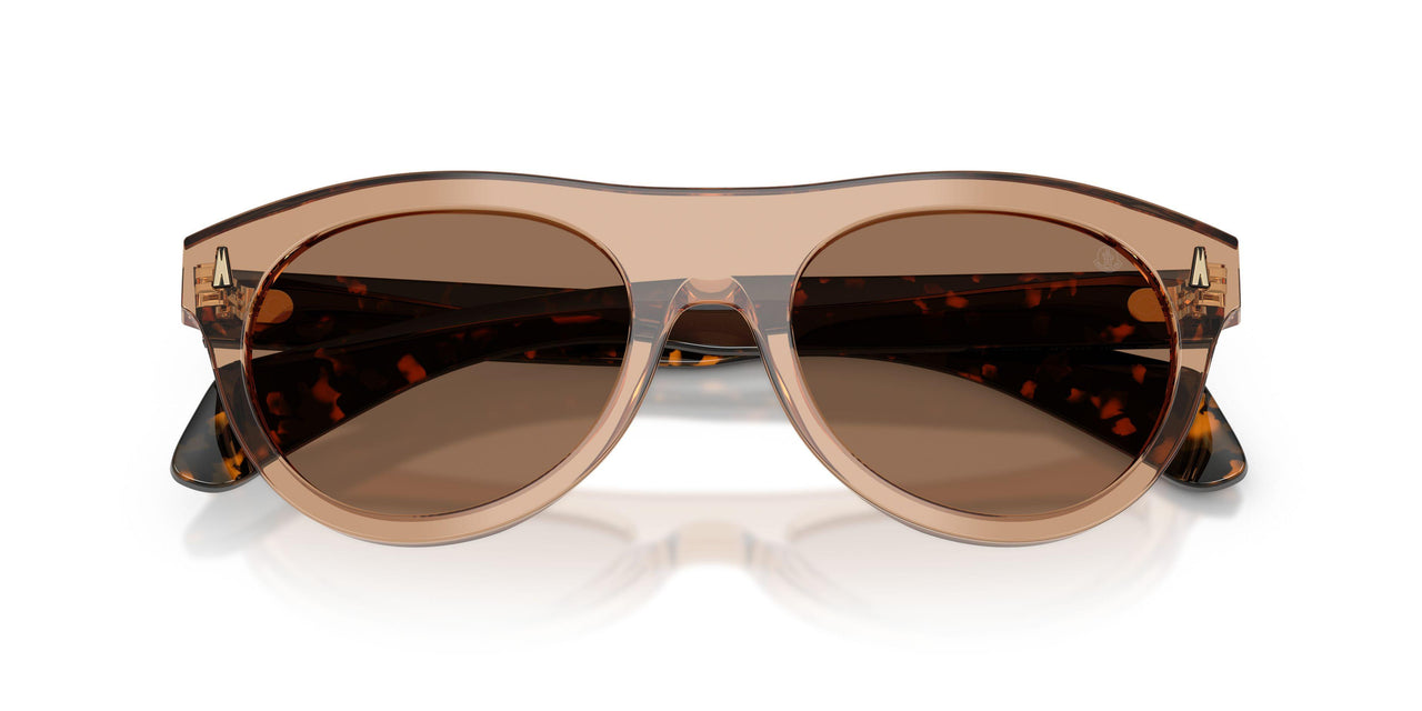 303773 - Brown - Dark Brown
