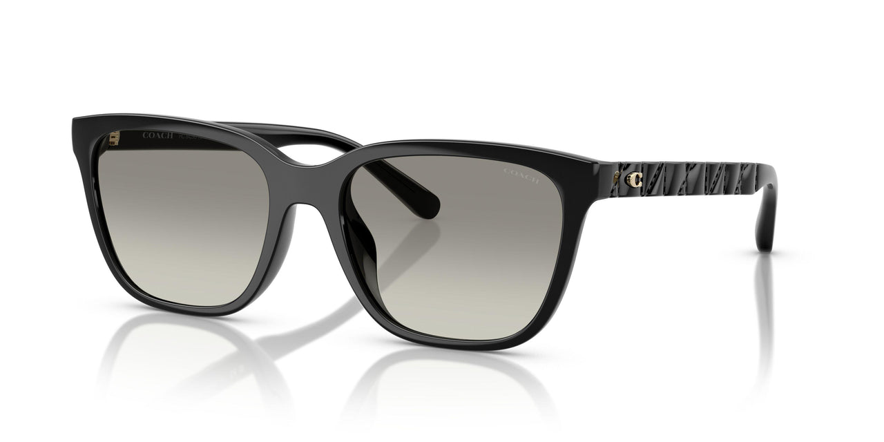 50023C - Black - Grey Gradient