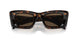 2AU06B - Havana - Dark Brown