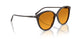 177278 - Brown - Cognac Gradient
