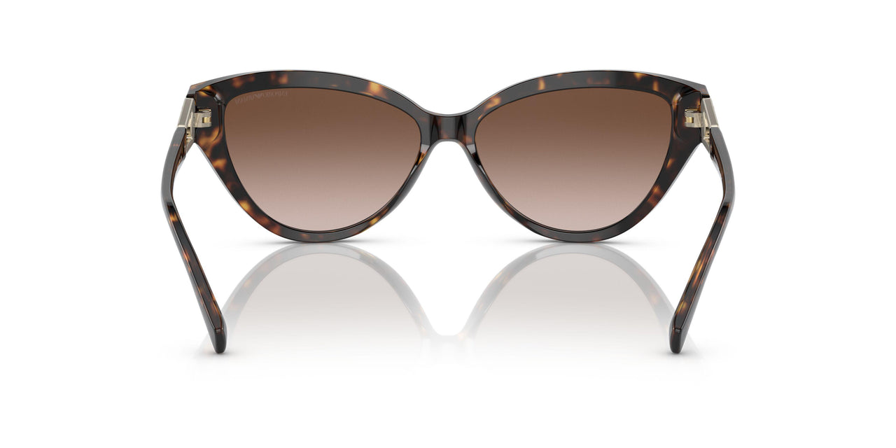 502613 - Havana - Gradient Brown