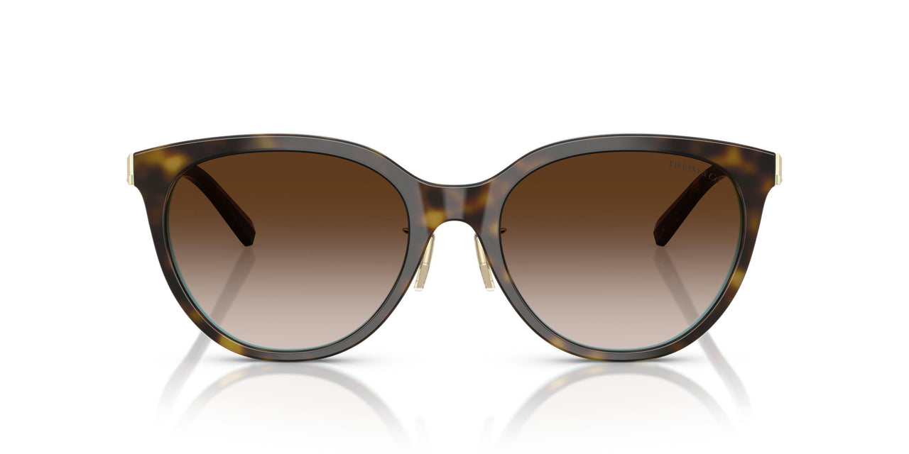 81343B - Brown - Brown Gradient