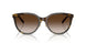 81343B - Brown - Brown Gradient