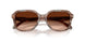 590174 - Brown - Brown Gradient