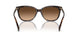 512074 - Tortoise - Brown Gradient