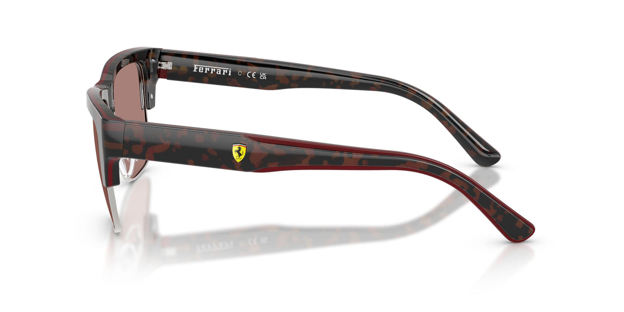 760/73 - Tortoise - Brown