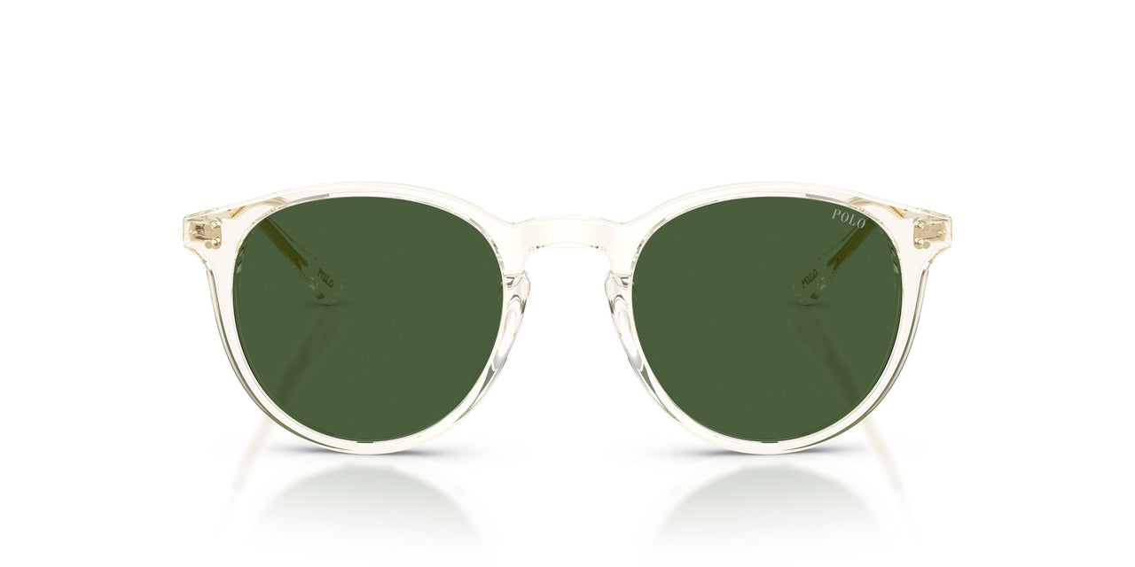 635771 - Yellow - Dark Green
