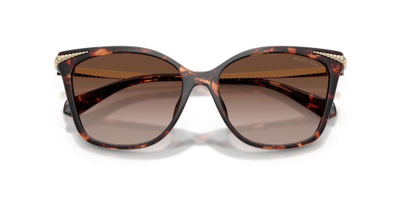 403113 - Tortoise - Brown Gradient