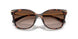 403113 - Tortoise - Brown Gradient