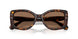 100273 - Tortoise - Dark Brown