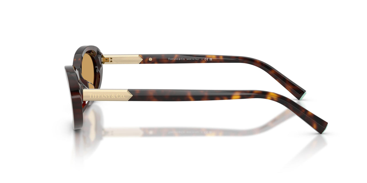 801574 - Tortoise - Light Orange Mirror Silver Internal