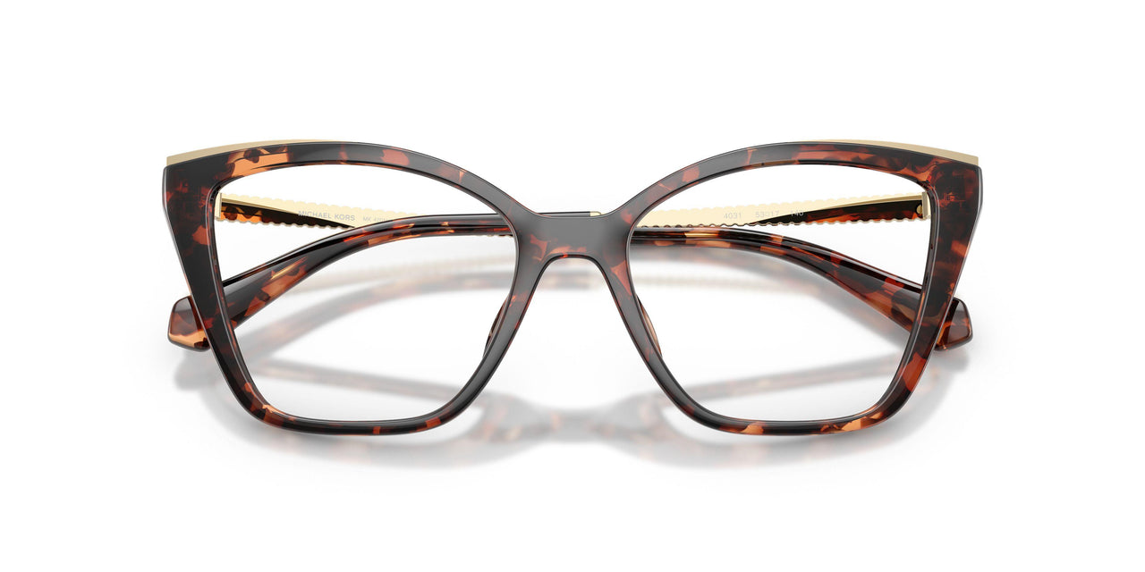 4031 - Tortoise