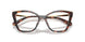 4031 - Tortoise