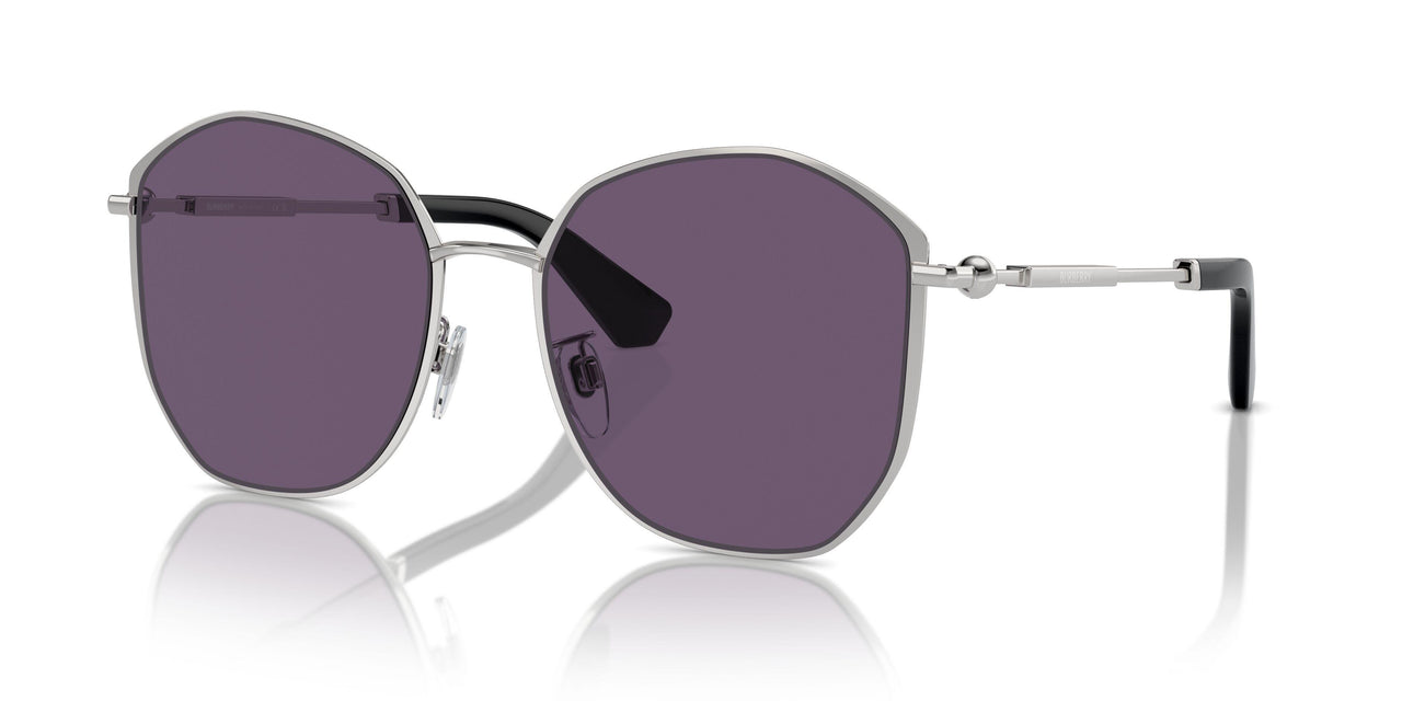 10051A - Silver - Violet
