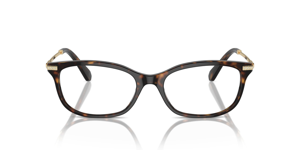 1002 - Brown