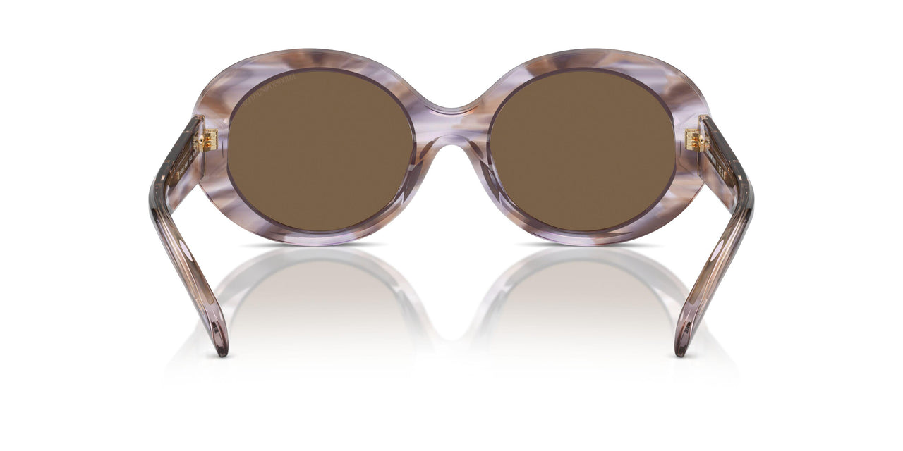 615673 - Tortoise - Dark Brown