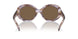 615673 - Tortoise - Dark Brown