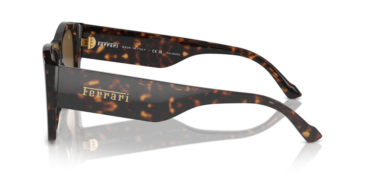 702/M2 - Tortoise - Polarized Brown Gradient