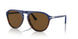 117857 - Multi - Brown Polar