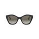 01F - Shiny Black - Gradient Brown