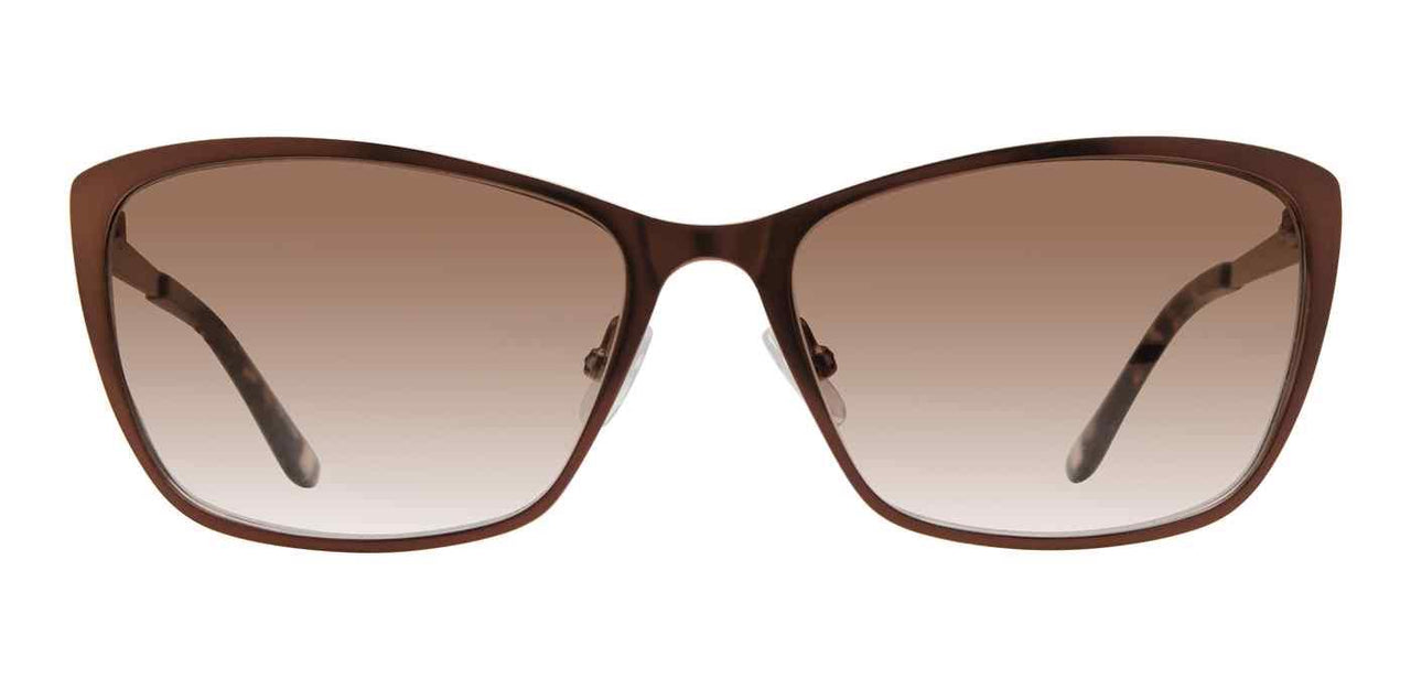 009Q-HA - Brown - Brown Gradient