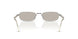 1BC30P - Silver - Light Brown