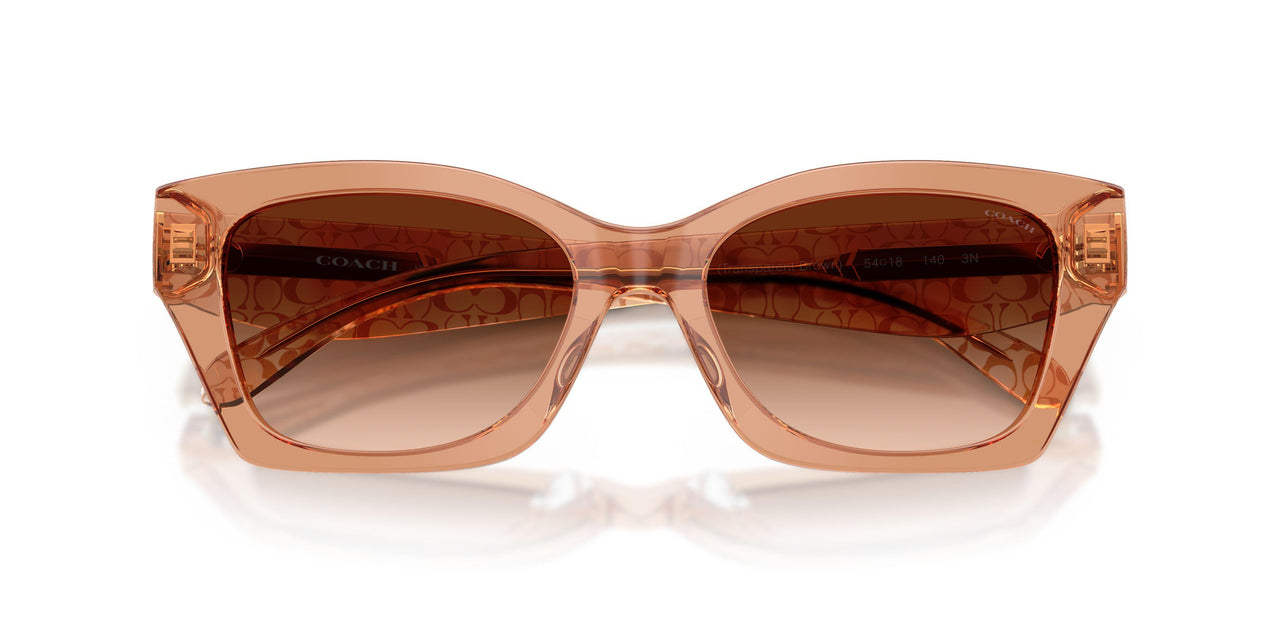593774 - Brown - Brown Gradient