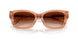 593774 - Brown - Brown Gradient