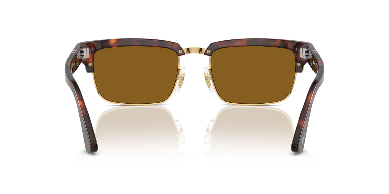 24/33 - Tortoise - Brown