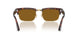 24/33 - Tortoise - Brown