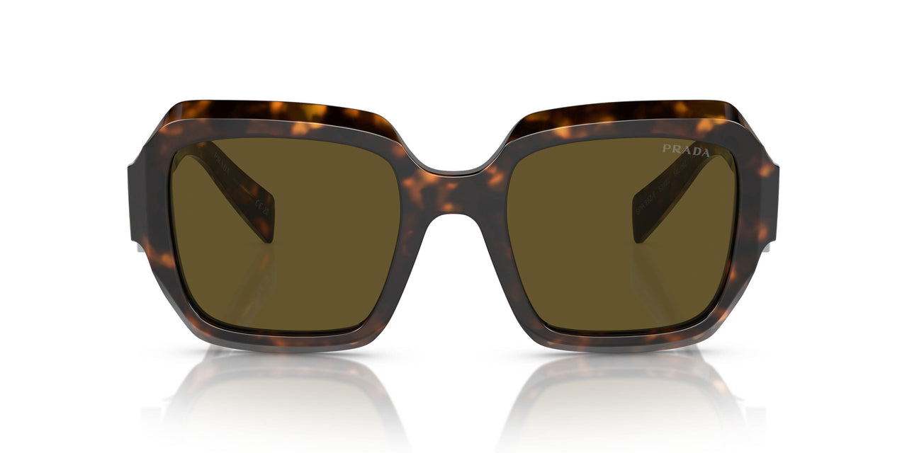 14L09Z - Green - Dark Brown