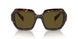 14L09Z - Green - Dark Brown