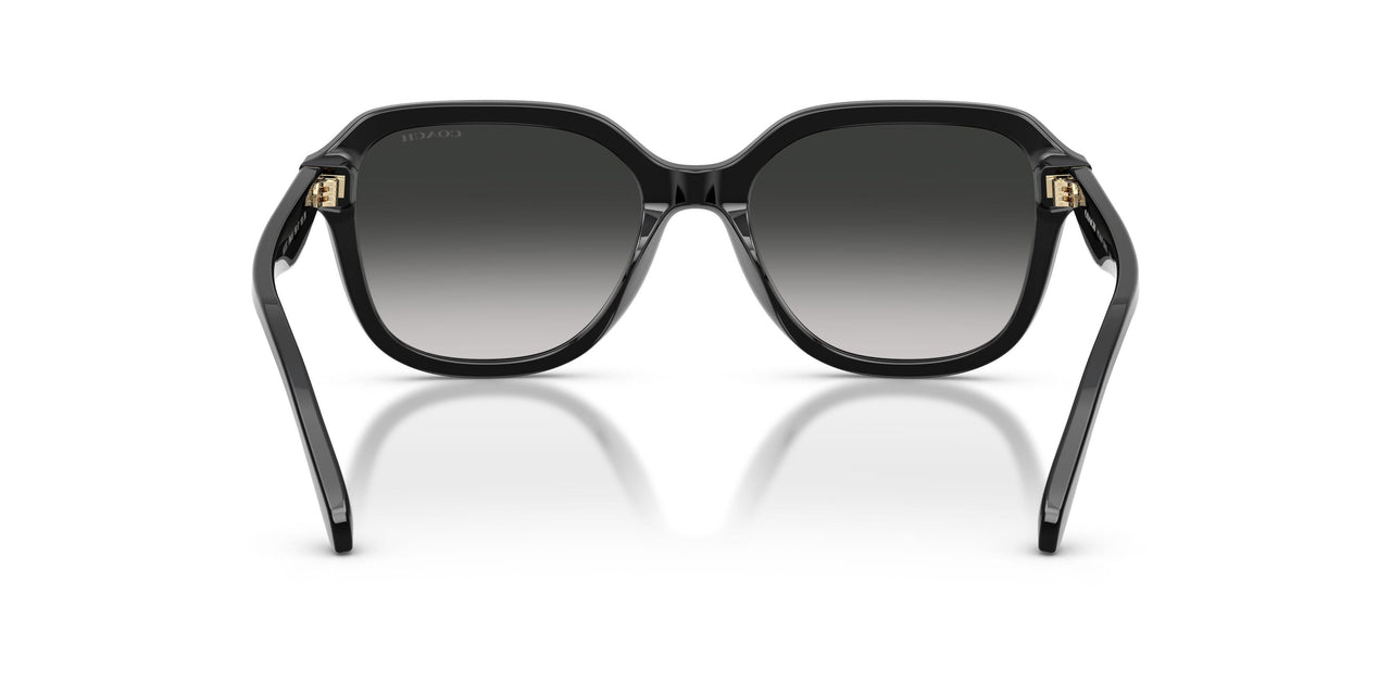 50023C - Black - Grey Gradient