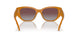 19586K - Brown - Violet Mirror Gold