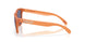 9245E7 - Brown - Prizm Grey