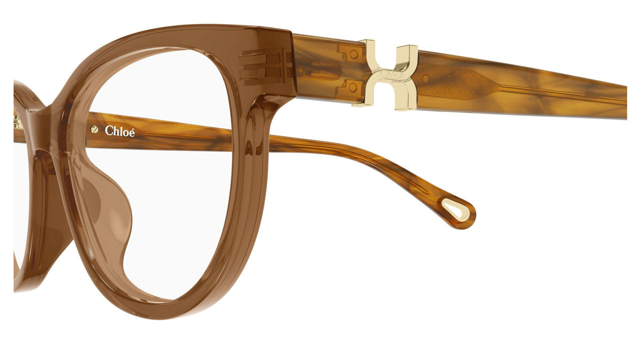 009 - Brown/Havana - Transparent