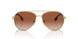 110913 - Gold - Brown Gradient