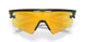 949908 - Black - Prizm 24k Polarized