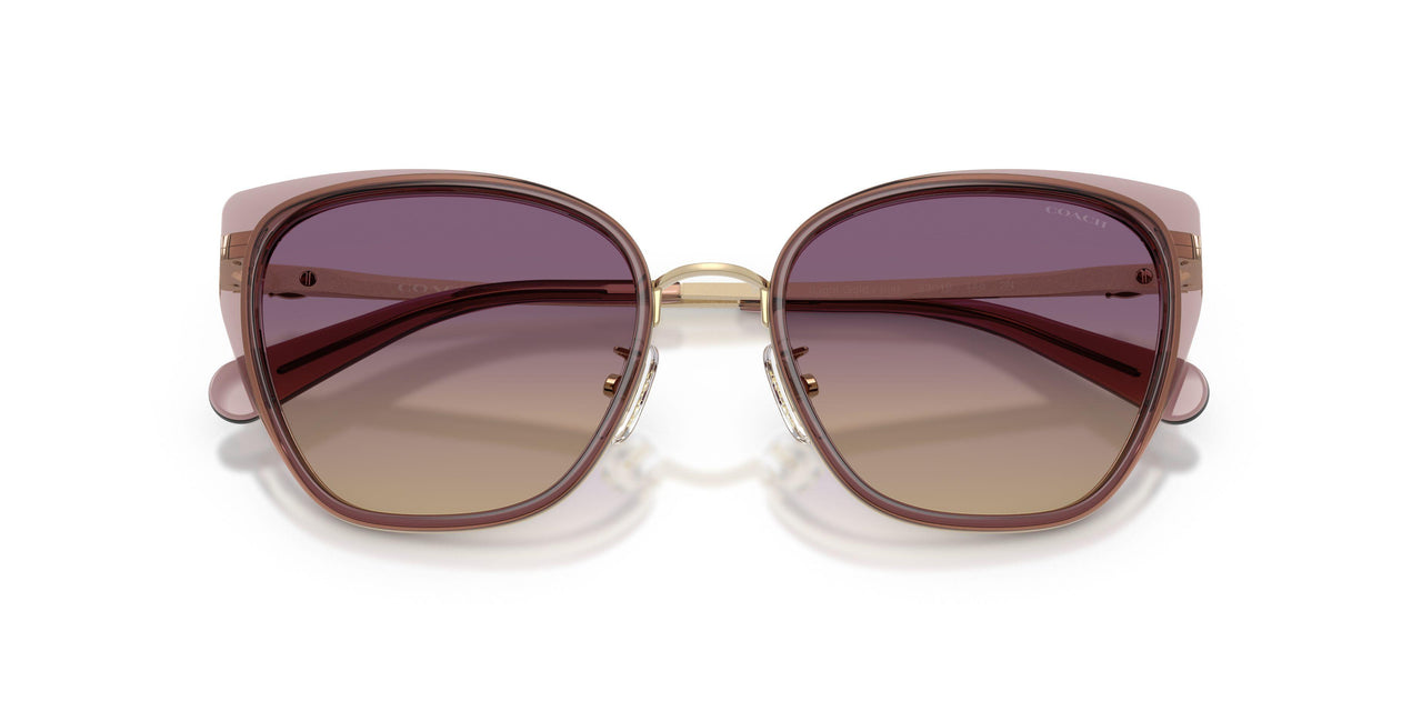 948570 - Violet - Iris Yellow Gradient