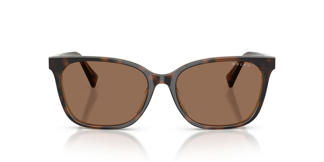 629473 - Blue - Brown