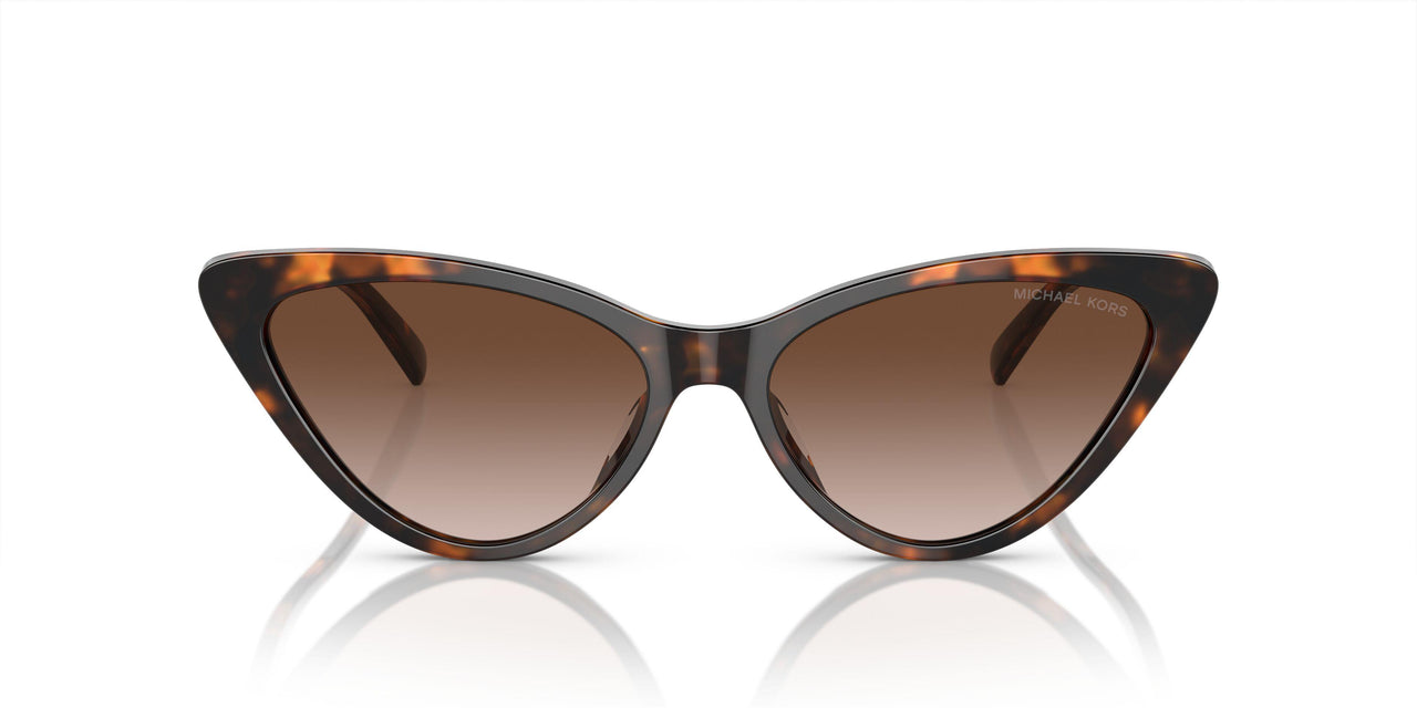 300613 - Tortoise - Brown Gradient