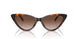 300613 - Tortoise - Brown Gradient